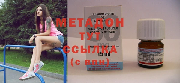 дмт Пересвет