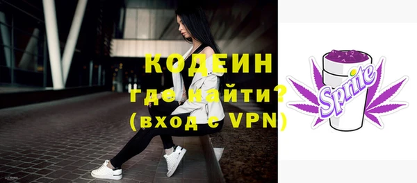 дмт Пересвет