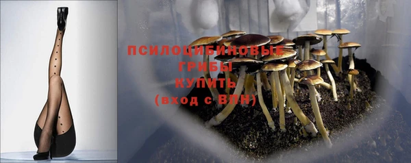 дмт Пересвет