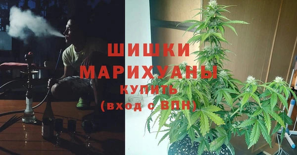 кокс Пестово