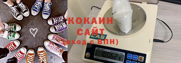 дмт Пересвет