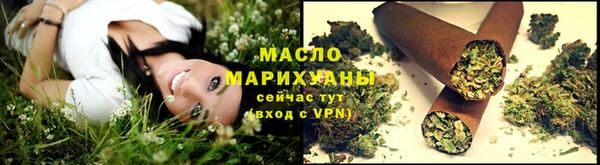 дмт Пересвет