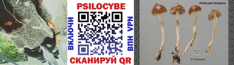 Галлюциногенные грибы ЛСД  Купить закладки  Сасово 